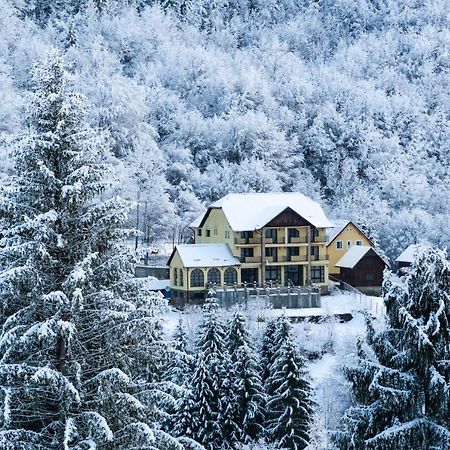 Pensiunea Dolvas Padis Exteriér fotografie