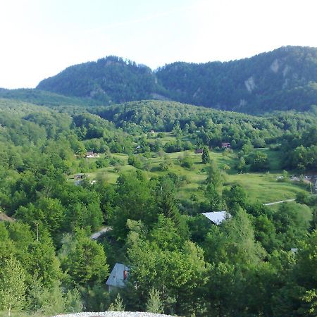 Pensiunea Dolvas Padis Exteriér fotografie
