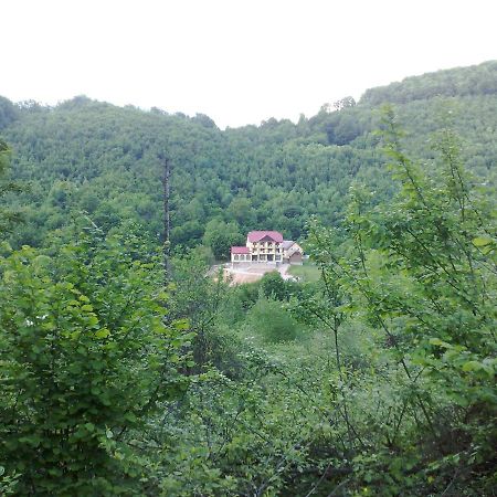 Pensiunea Dolvas Padis Exteriér fotografie