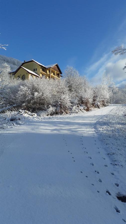 Pensiunea Dolvas Padis Exteriér fotografie