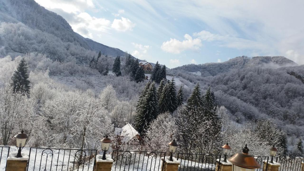 Pensiunea Dolvas Padis Exteriér fotografie
