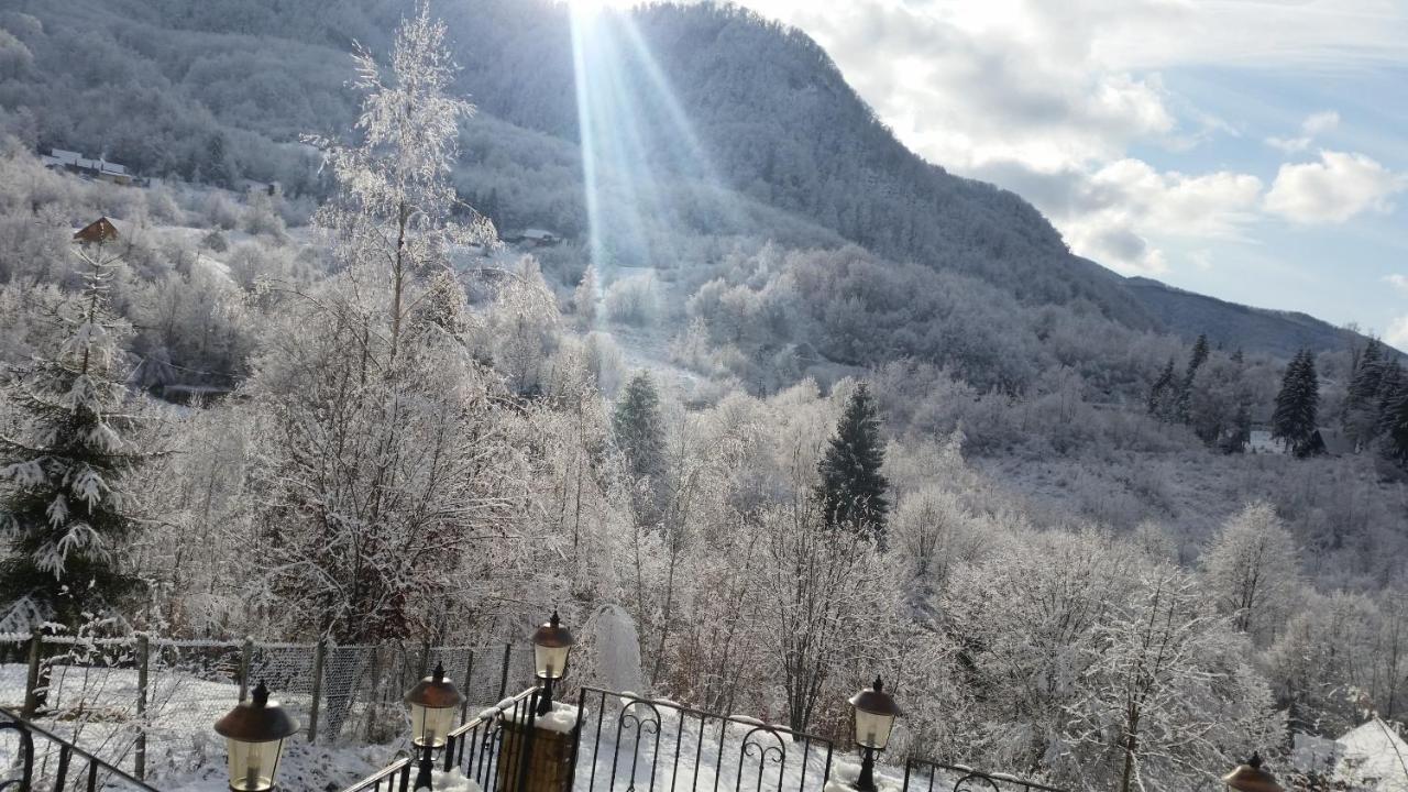 Pensiunea Dolvas Padis Exteriér fotografie