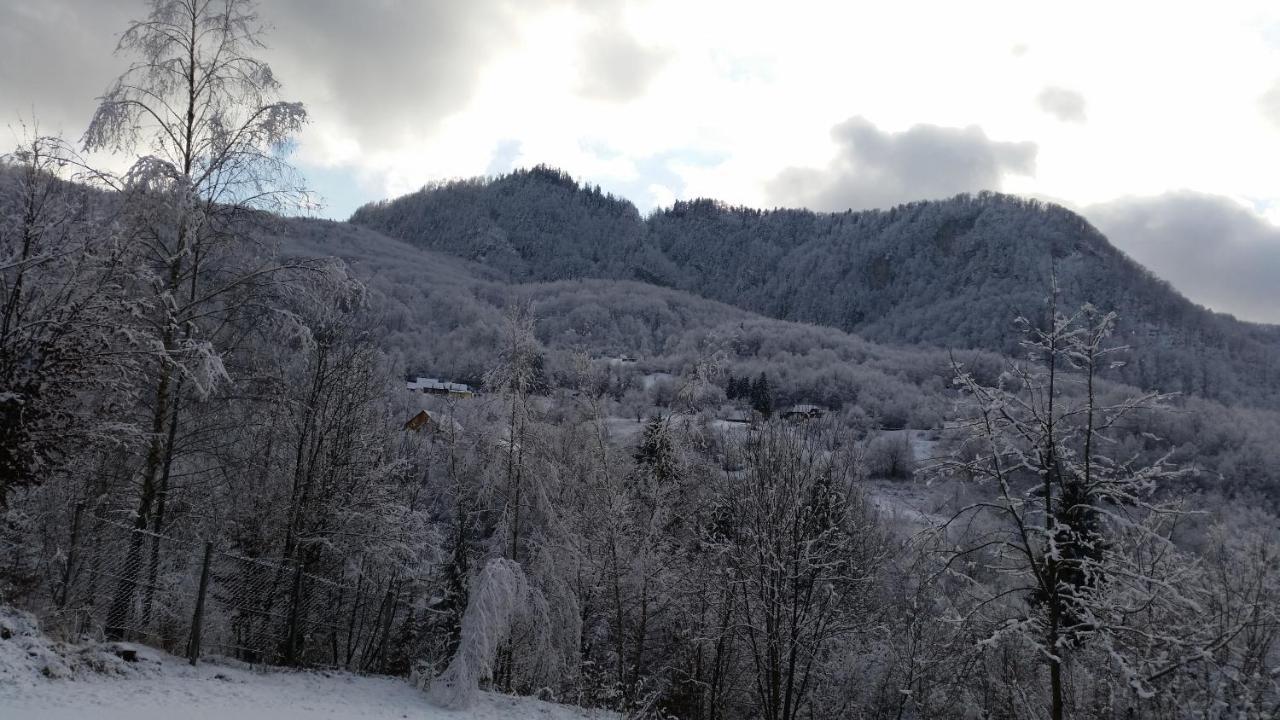 Pensiunea Dolvas Padis Exteriér fotografie
